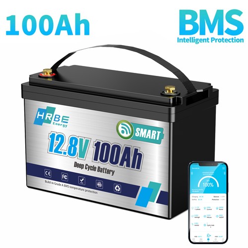 Lifepo4 100ah 12v bluetooth - lifepo4,