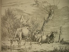 E. W. J. BAGELAAR TRE MUCCHE