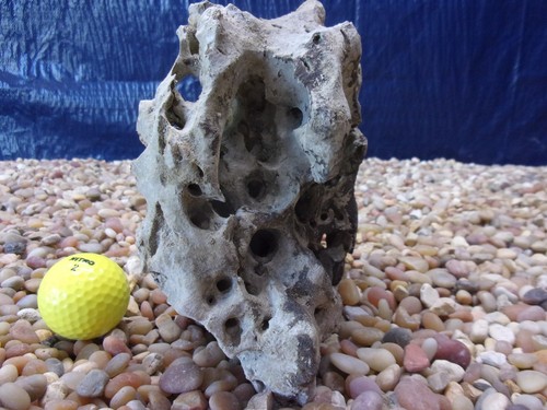 Texas holey rock - holey,