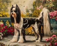 Cane crestato cinese con