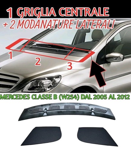 Griglia modanatura cofano - modanatura,