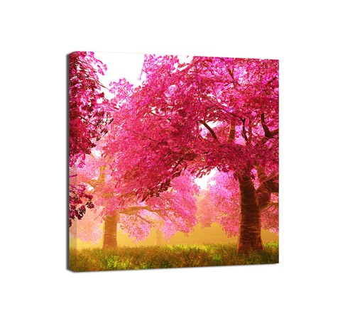 Quadri moderni quadrati - , fiori
