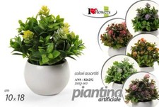 Pianta piantina finta - pianta,