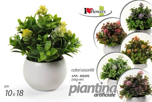 Pianta piantina finta - piantina,