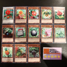 LOTTO 13 CARTE NATURIA in