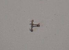 MOERIS CAL. PARTE DI ANCORAGGIO 10 1/2'' C n. 710 ~NOS~