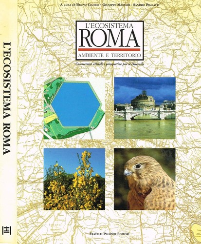 Ecosistema roma ambiente e - l'ecosistema,