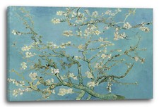 Tela/Cornice Vincent van Gogh