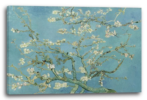 Tela cornice vincent - van, gogh