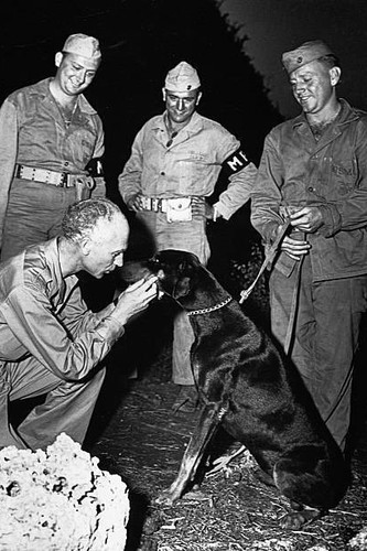 Ernie pyle pets - pyle,