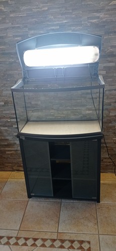 Acquario e - (tetra),