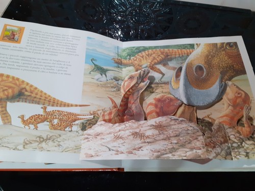Libro piccoli dei - libro,
