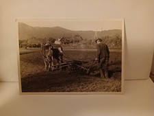 uomo con cappello e aratro