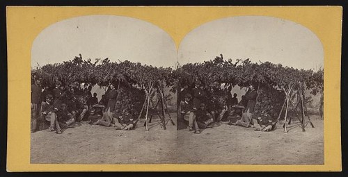 Columbus kentucky 1864 - kentucky,