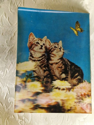 Cartolina gattini con farfalle - gattini,