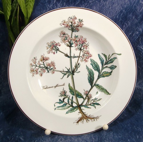 Villeroy boch botanica 1 - villeroy,