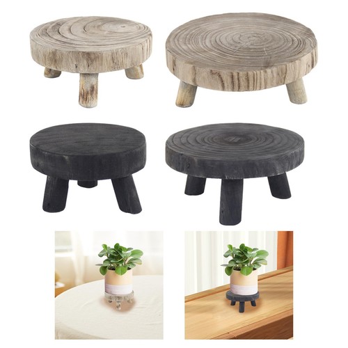 Espositore per piante bonsai - espositore,