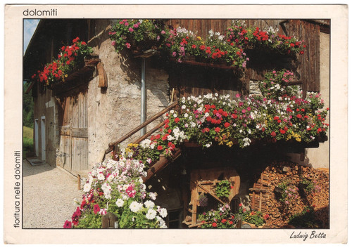 Cavalese dolomiti baita con - -,