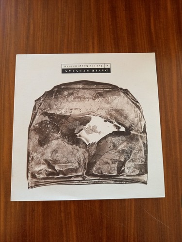 David sylvian let - david,