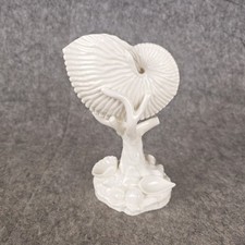 Royal Worcester osso bianco