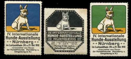 French bulldog dog show - bulldog,