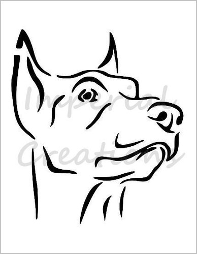 Doberman pinscher viso razza - pinscher,
