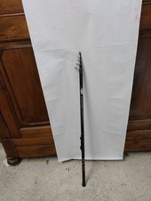 Canna Bolognese Vintage