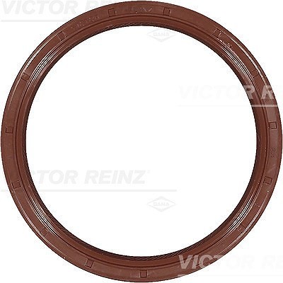 Paraolio victor reinz lato - paraolio,