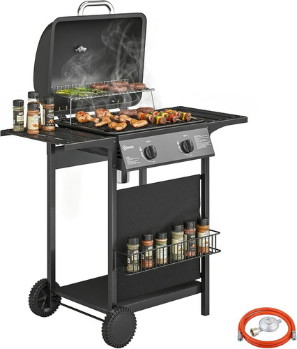 Barbecue gas con 2 - barbecue,