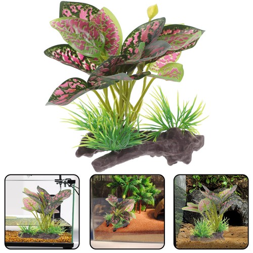 Decorazione per terrario - decorazione,