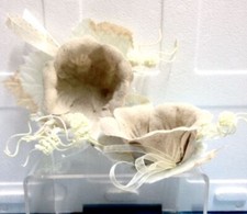 STOCK 12 PEZZI Segnaposto a