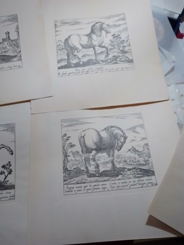 Stampe lotto tavole - stampe, di