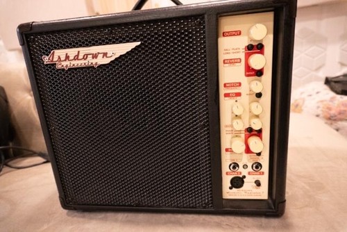 Amplificatore acustico ashdown - acustico,