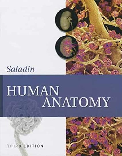 Human anatomy hardcover - human,