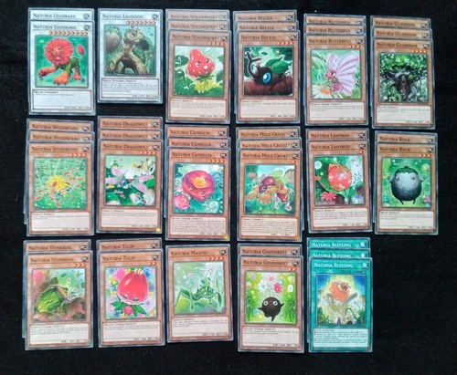 Card naturia deck - card,