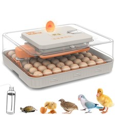 Incubatrice Gen4 per