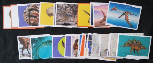 Panini national geographic - national,