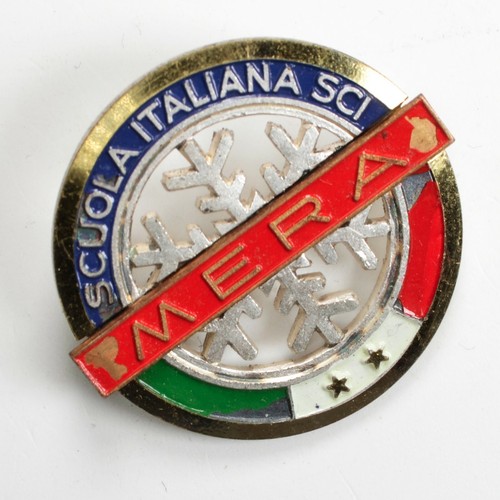 Distintivo spilla badge scuola - distintivo,
