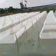 Fish Box Gabbia Rete Bianca