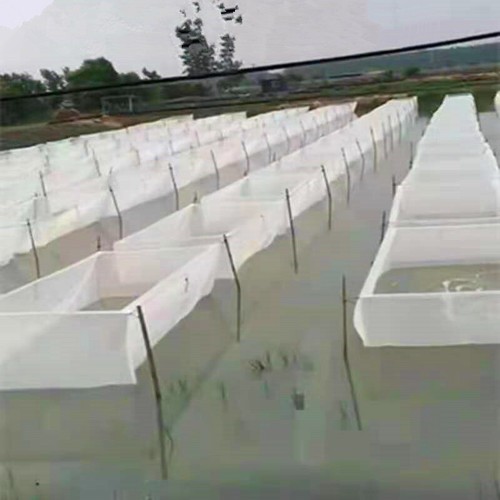 Fish box gabbia rete bianca - box,