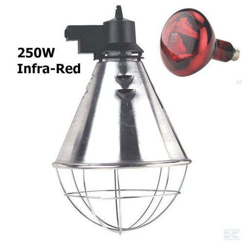 Lampadina lampada termica - lampadina,