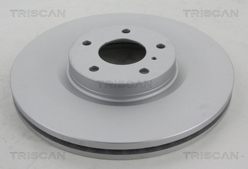 Dischi freno triscan - 2,