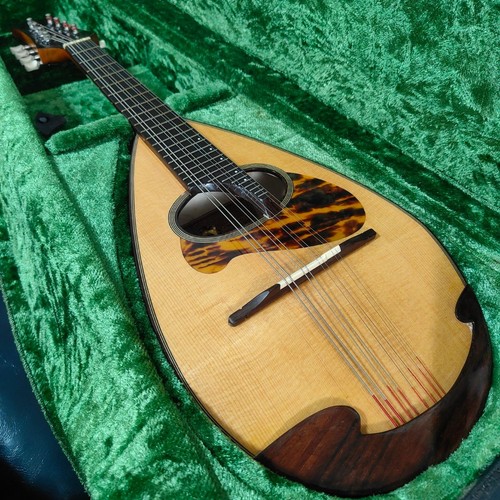 Custodia rigida strumento