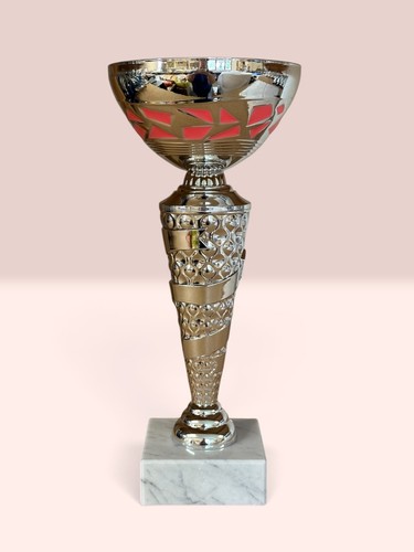 Trofeo coppa ciotola argento - , e