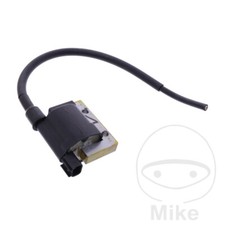 Bobina accensione OEM adatta