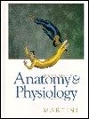Fundamentals anatomy and - fundamentals,