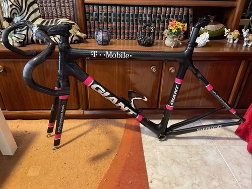 Cuadro giant tcr - tcr, oficial
