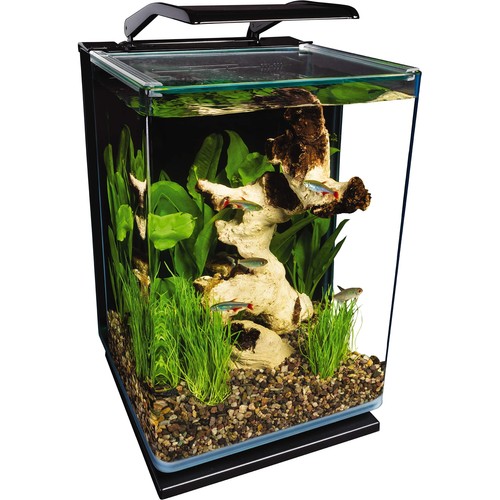 Marineland ritratto vetro led - ritratto,