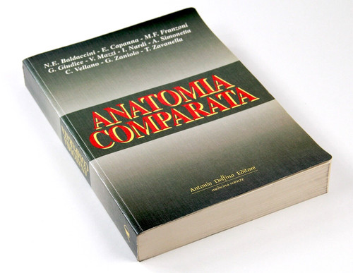 Anatomia comparata baldaccini - anatomia,