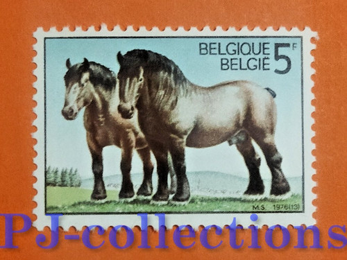 B1218 belgio belgium 1976 - b1218-, -belgium